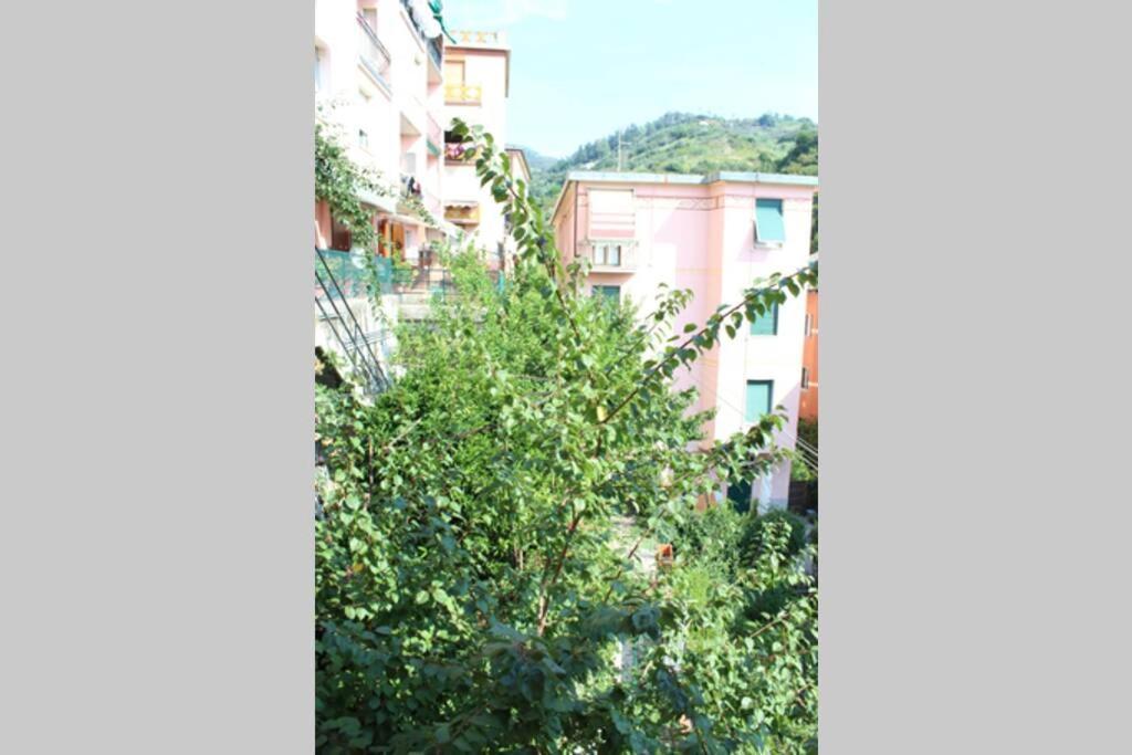 Ca Du Rocco - Citra 011019-Lt-0343 Monterosso al Mare Exterior foto